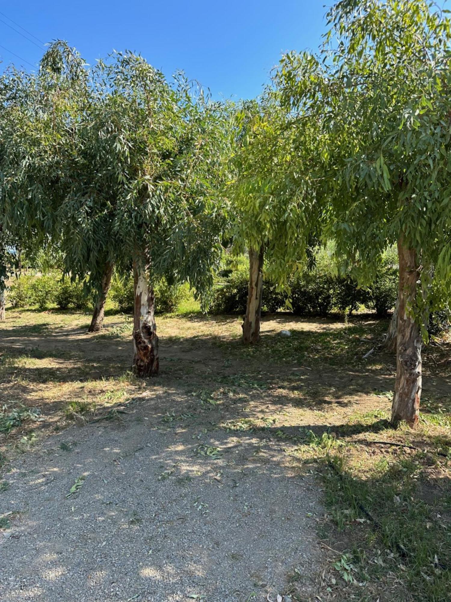 Villa Memi Cefalu Bagian luar foto