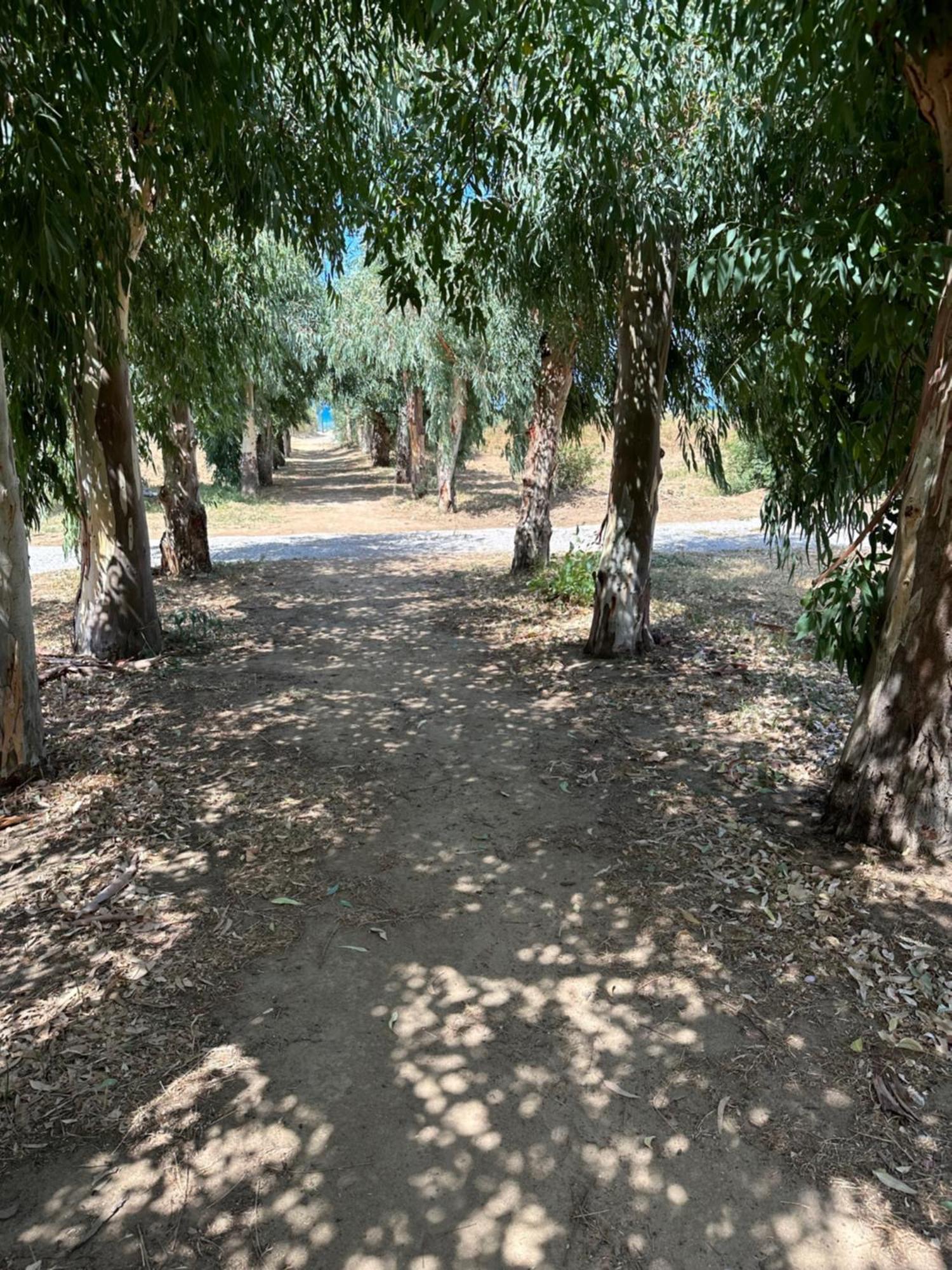Villa Memi Cefalu Bagian luar foto